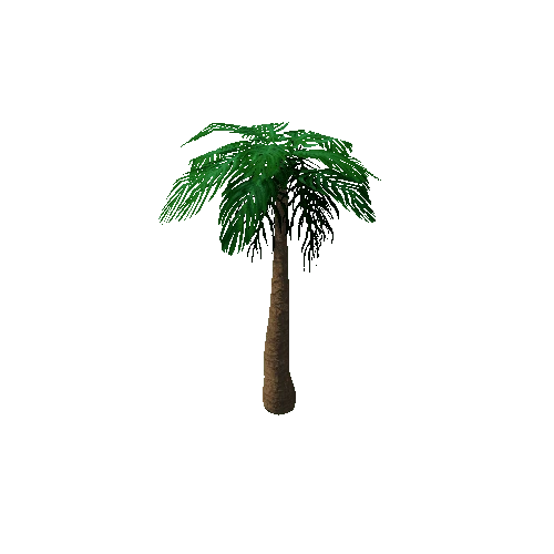 Tree_3a_Palm_03