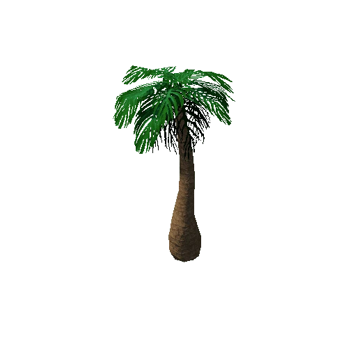 Tree_3a_Palm_04