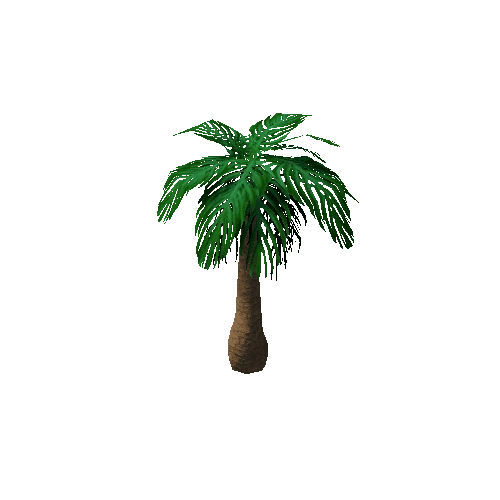 Tree_3a_Palm_05