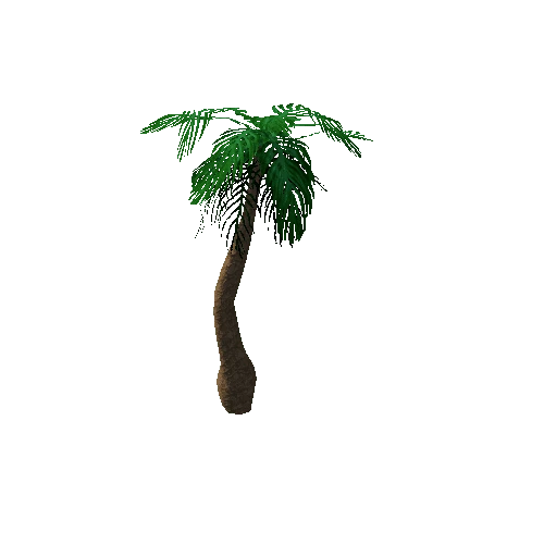 Tree_3a_Palm_06