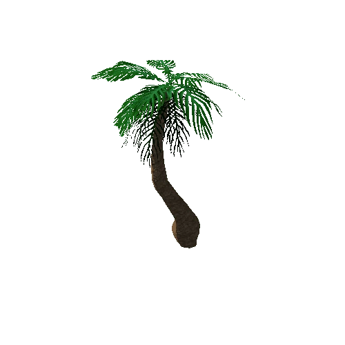 Tree_3a_Palm_07