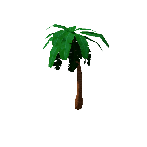 Tree_3b_Palm_02