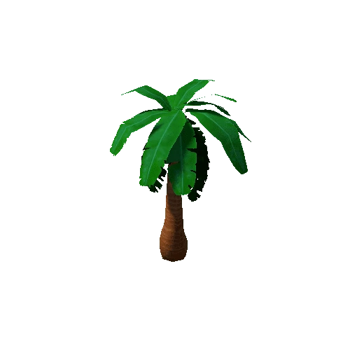 Tree_3b_Palm_05