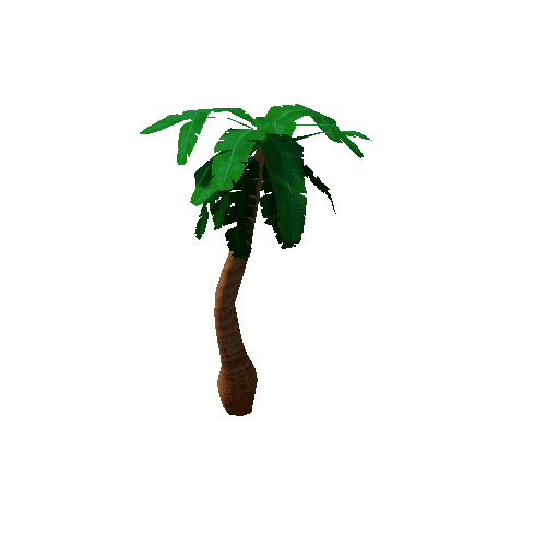 Tree_3b_Palm_06