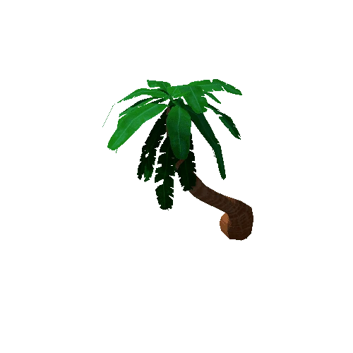 Tree_3b_Palm_08