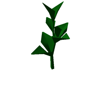 plant6C_1