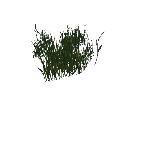 Grass_single_batch