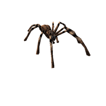 SpiderPrefab