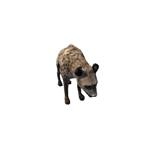 hyena_fv_rm_LP_Gray