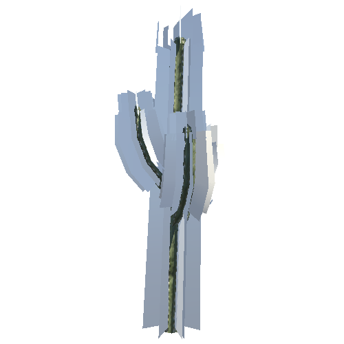 CactusA_VarA