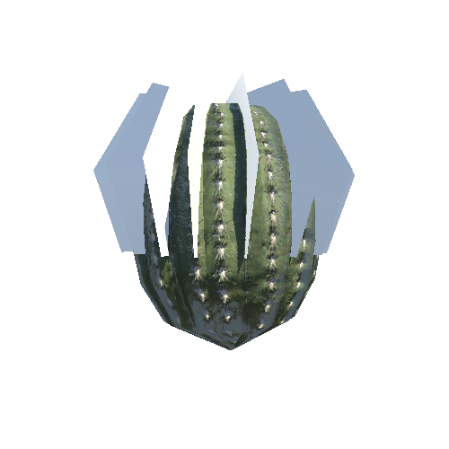 CactusC_VarB