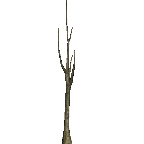 Tree02Terrain