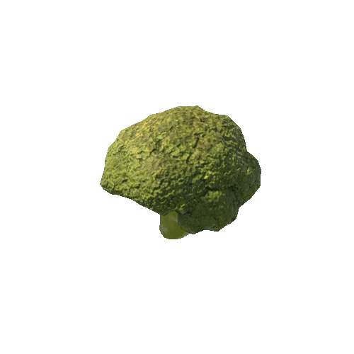 Broccoli_1_LOD1