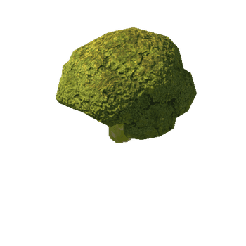 Broccoli_1_LOD2_1