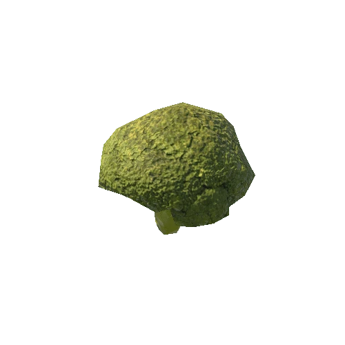 Broccoli_1_LOD3