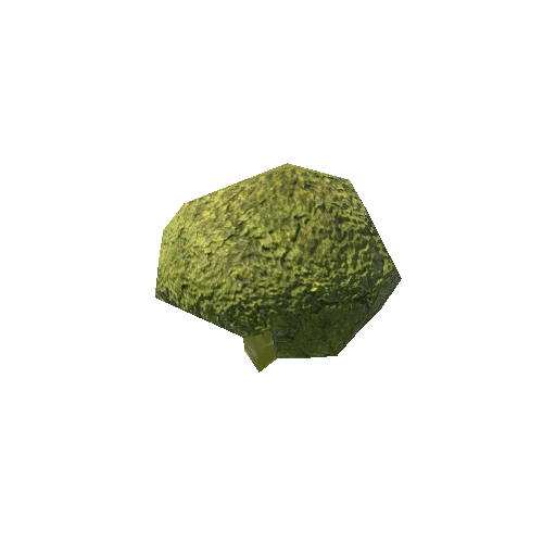 Broccoli_1_LOD4