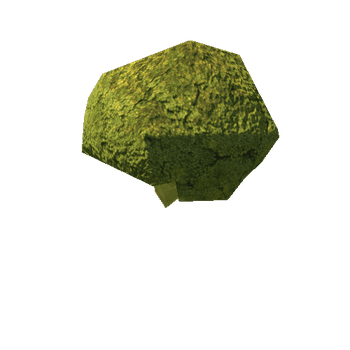 Broccoli_1_LOD4_1