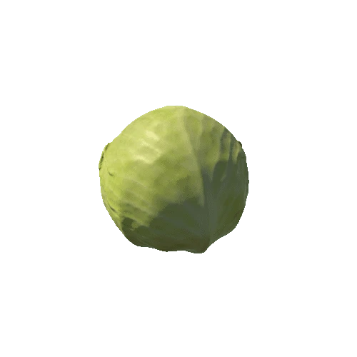 Cabbage_1