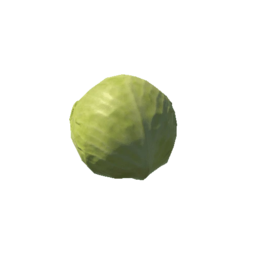 Cabbage_1_LOD2