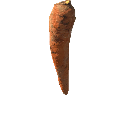 Carrot_1_LOD4