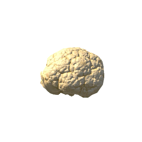 Cauliflower_1_LOD1