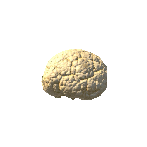 Cauliflower_1_LOD3