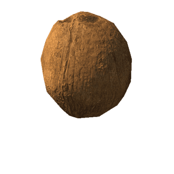 Coconut_LOD3_1