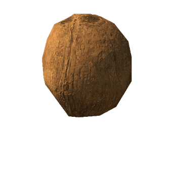 Coconut_LOD4_1
