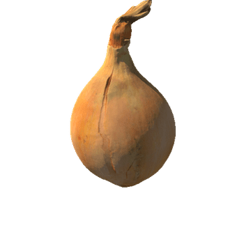 Onion_1