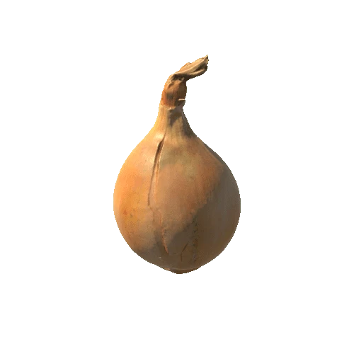 Onion_1