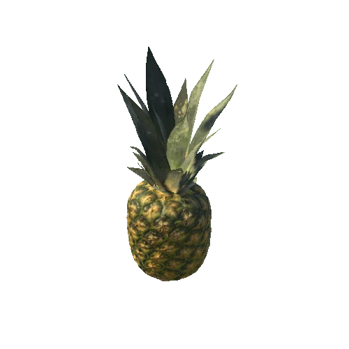 Pineapple_1_LOD0