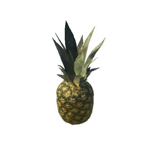 Pineapple_1_LOD1