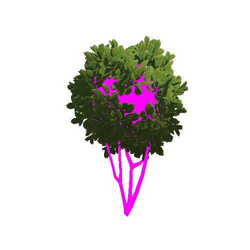 Bush1