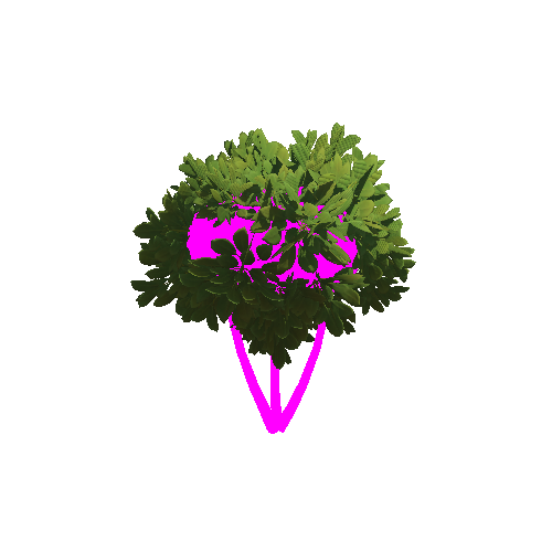 Bush2