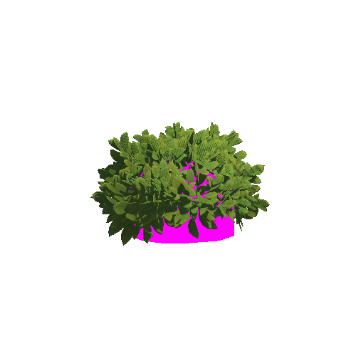 Bush3