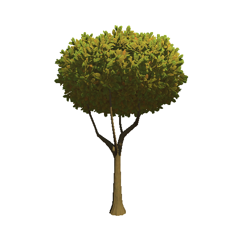 Tree_01b