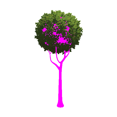 Tree_02