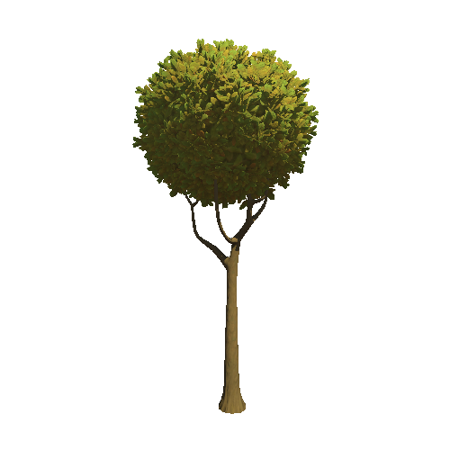 Tree_02b