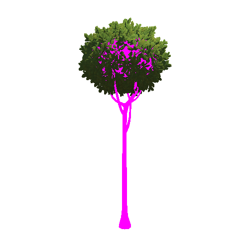 Tree_03