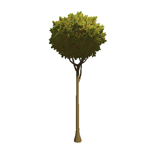 Tree_03b