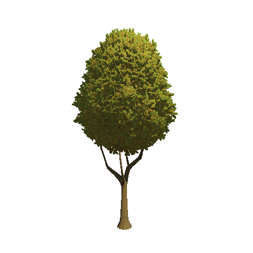 Tree_04b