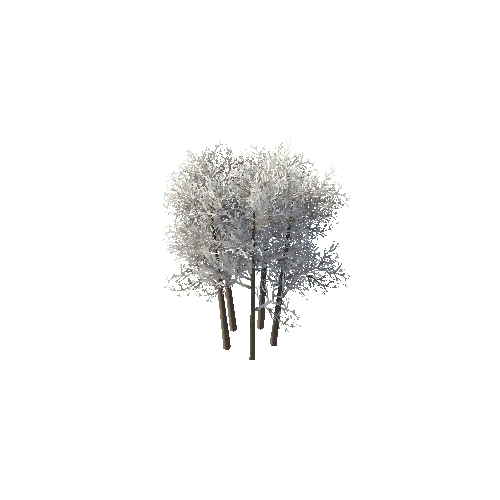 tree06