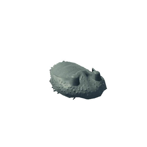 TrilobiteModel