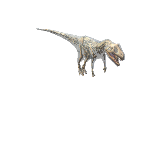 Allosaurus