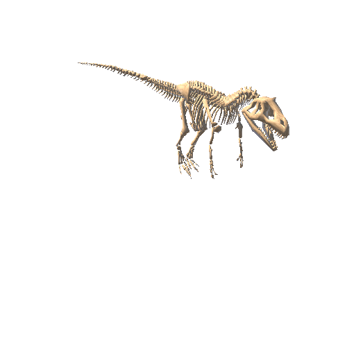 AllosaurusSkeletonWithScriptSimpleCollider