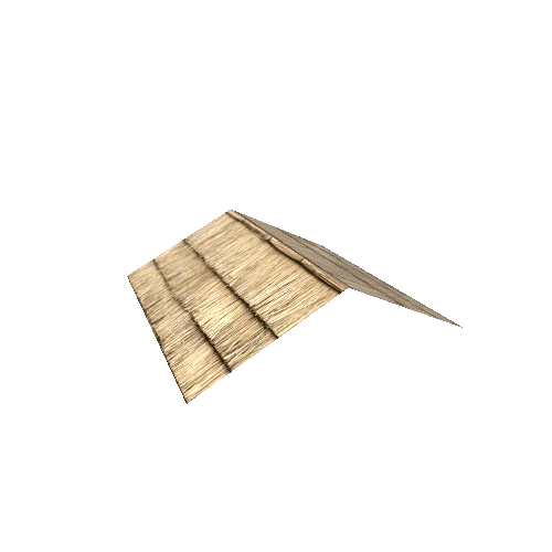 Thatch_Roof_1A