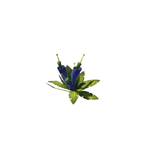 Fern_Plant_Blue