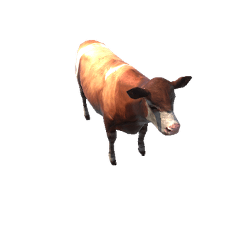 CowColor1