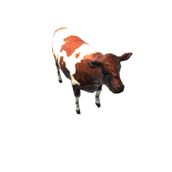 CowColor2