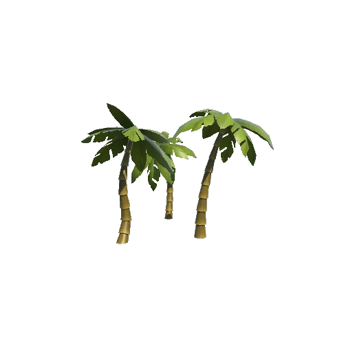 Palms_01